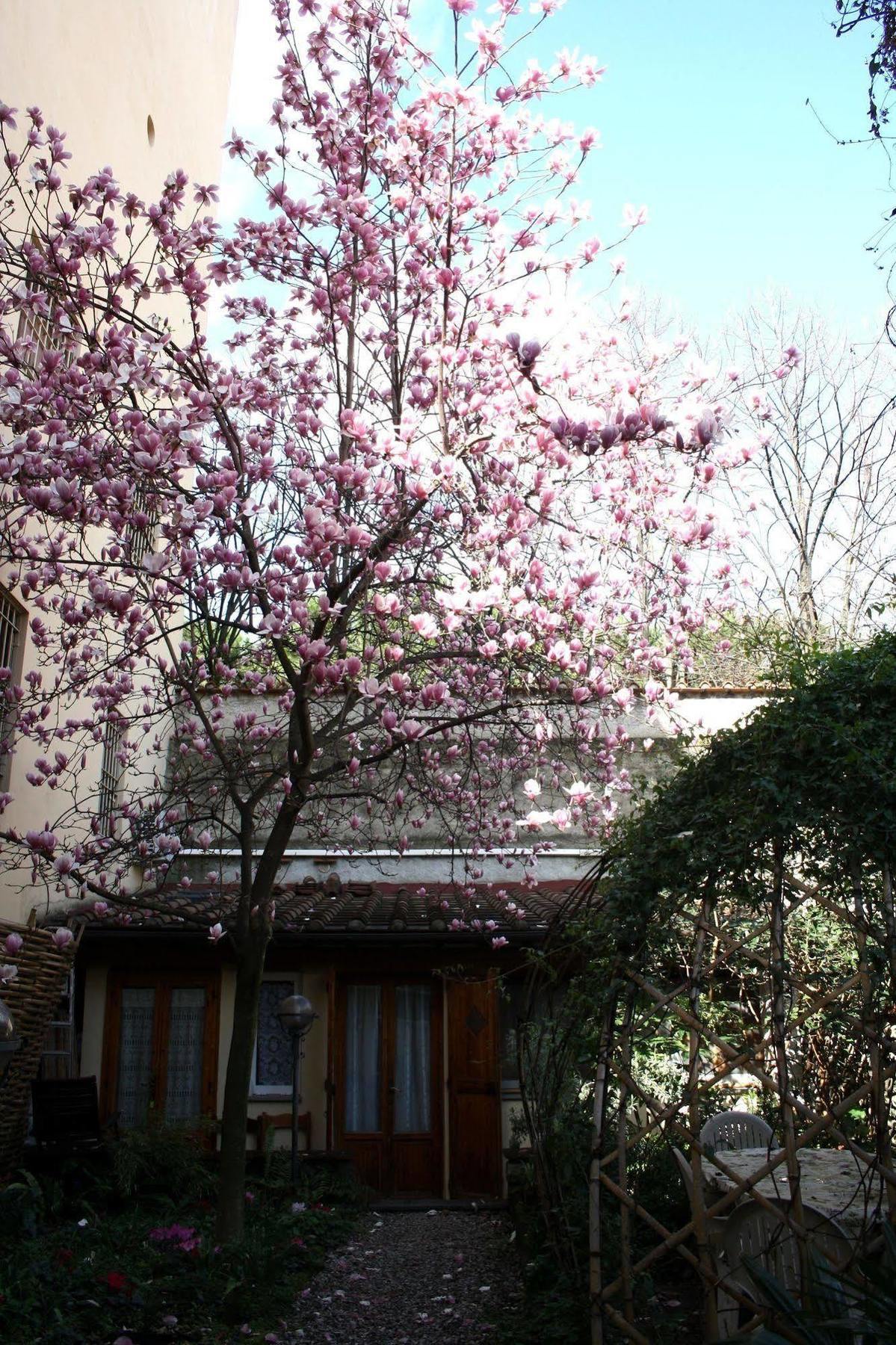 Affittacamere Casa Corsi Florence Extérieur photo